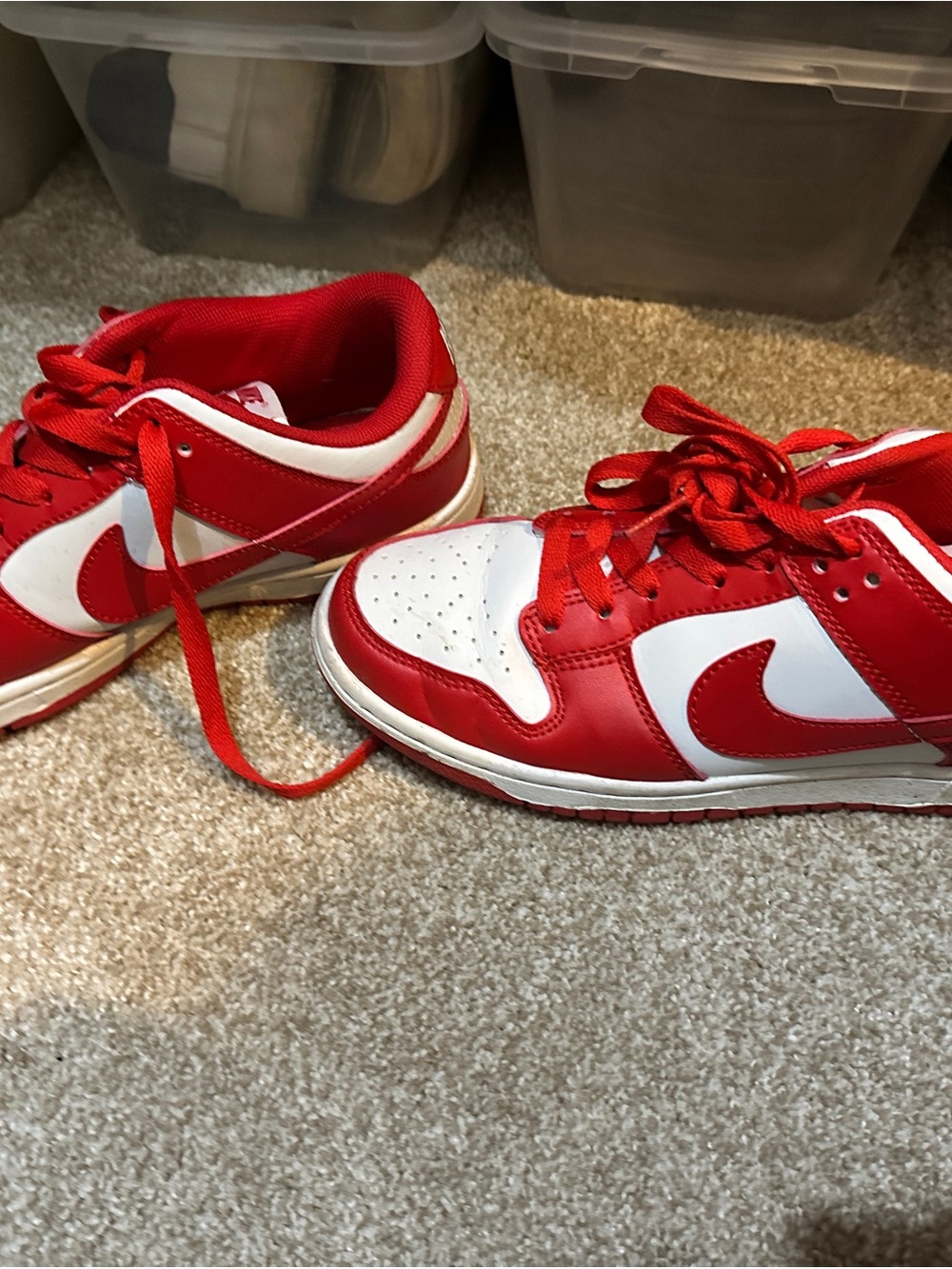 Nike Dunks and White Low-Top Sneakers